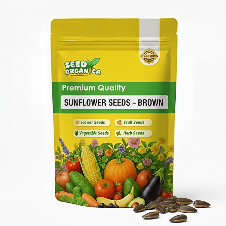 Sunflower Seeds – Brown