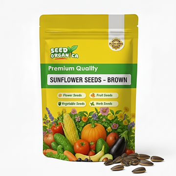 Sunflower Seeds – Brown