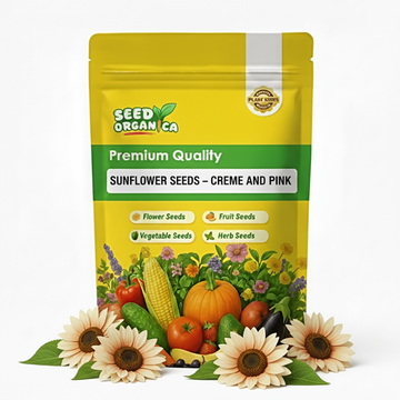 Sunflower Seeds – Creme and Pink