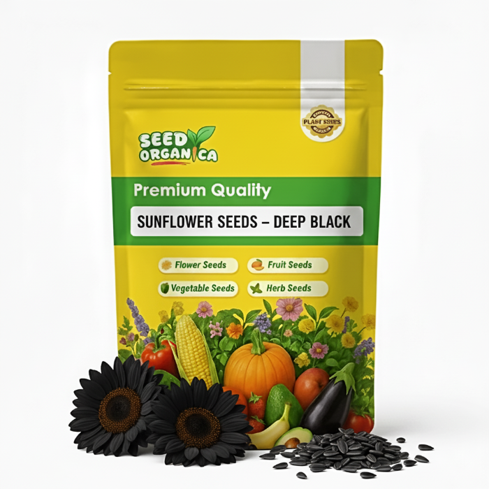 Sunflower Seeds – Deep Black