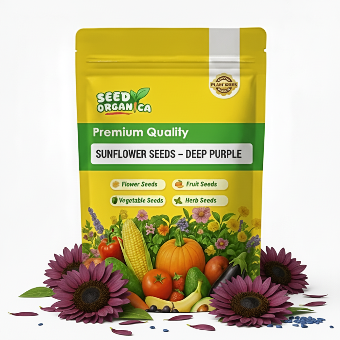 Sunflower Seeds – Deep Purple