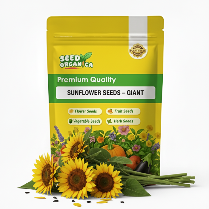 Sunflower Seeds  – Giant