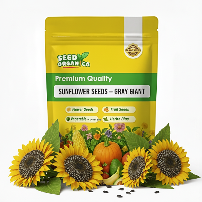 Sunflower Seeds – Gray Giant