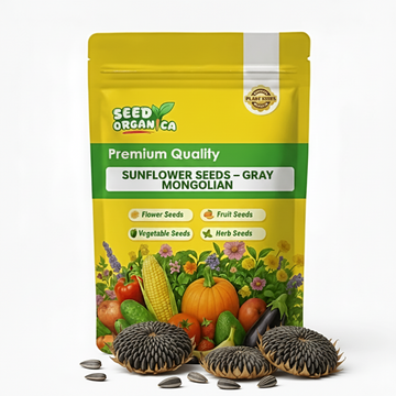 Sunflower Seeds – Gray Mongolian