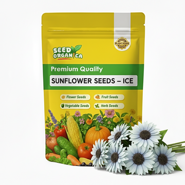 Sunflower Seeds – Ice