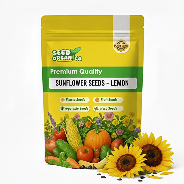 Sunflower Seeds – Lemon