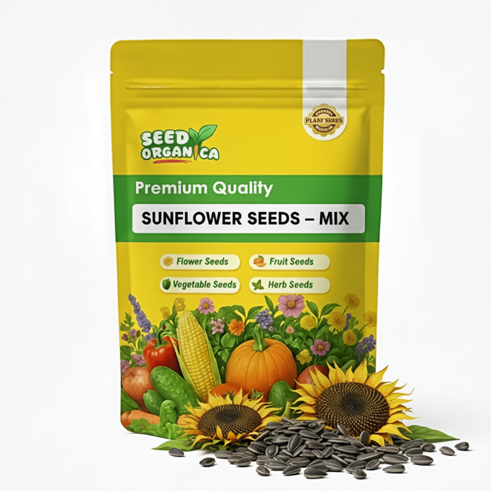 Sunflower Seeds – Mix