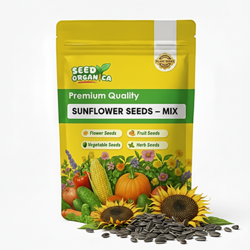 Sunflower Seeds – Mix