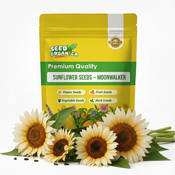 Sunflower Seeds – Moonwalker