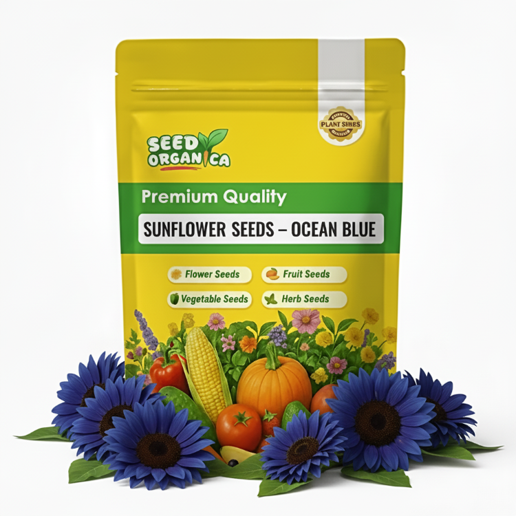 Sunflower Seeds – Ocean Blue
