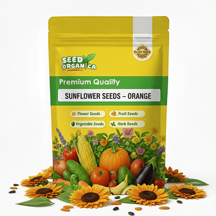 Sunflower Seeds – Orange