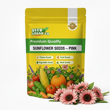 Sunflower Seeds – Pink