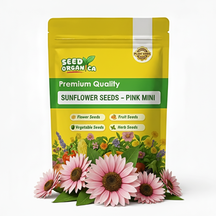 Sunflower Seeds – Pink Mini