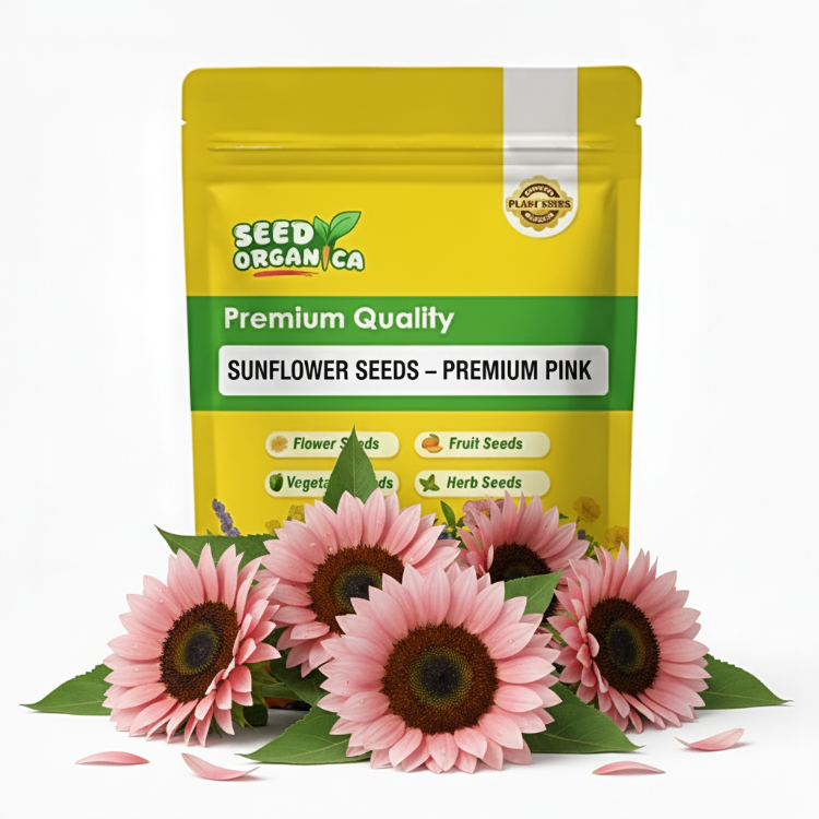 Sunflower Seeds – Premium Pink