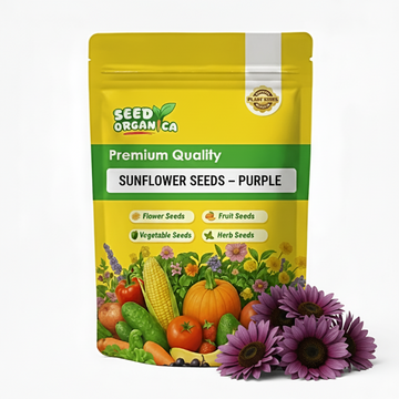 Sunflower Seeds – Purple