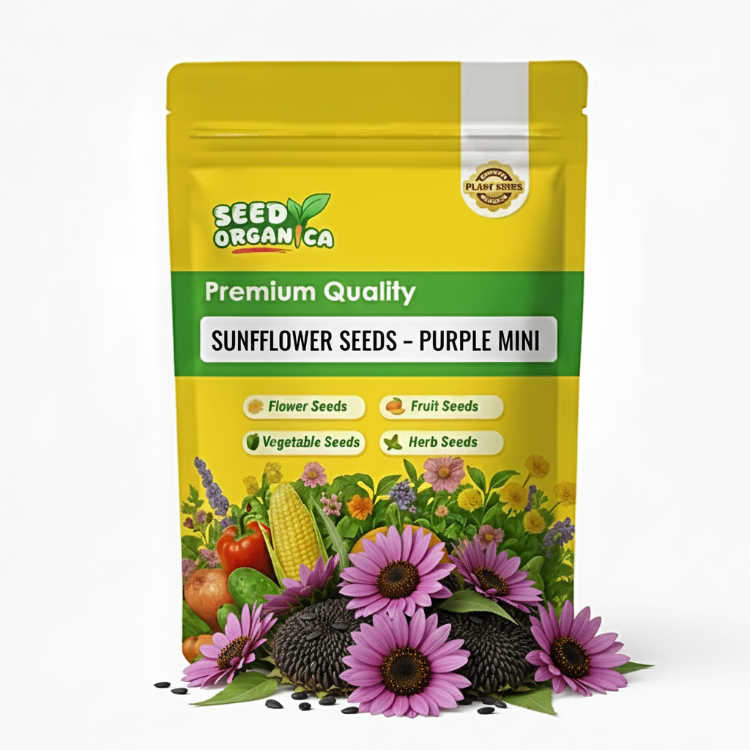 Sunflower Seeds – Purple Mini
