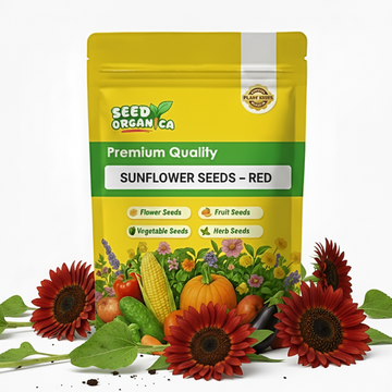 Sunflower Seeds – Red