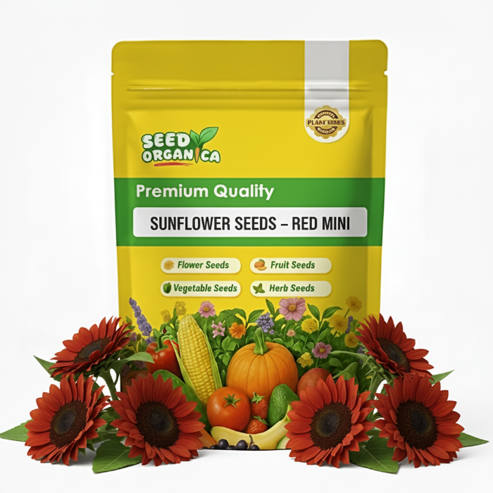 Sunflower Seeds – Red Mini