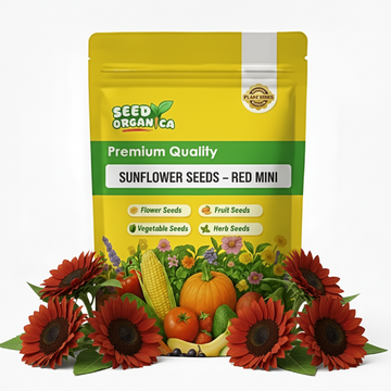 Sunflower Seeds – Red Mini