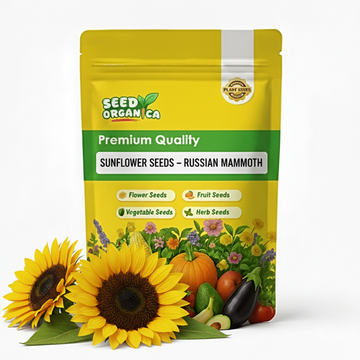 Sunflower Seeds – Russian Mammoth