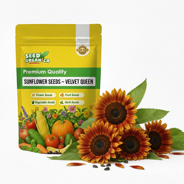 Sunflower Seeds – Velvet Queen