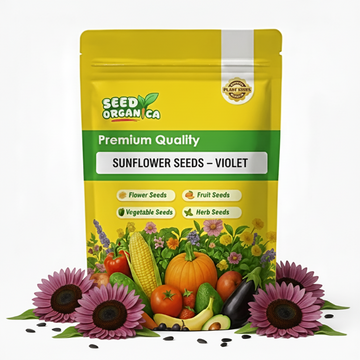 Sunflower Seeds – Violet