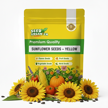 Sunflower Seeds – Yellow