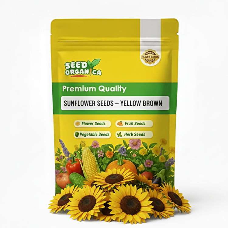 Sunflower Seeds – Yellow Brown