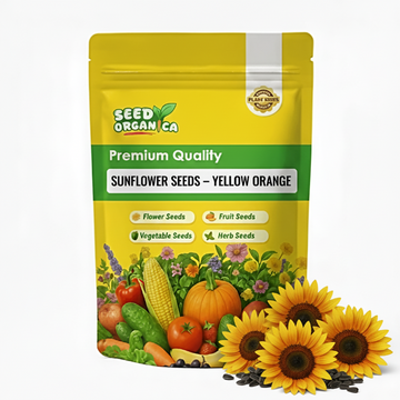 Sunflower Seeds – Yellow Orange