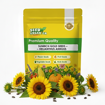 Sunrich Gold Seeds – Helianthus Annuus