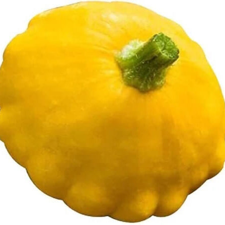 Sunseanse F1 Pumpkin Seeds 