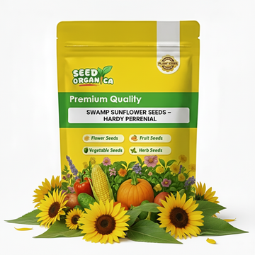 Swamp Sunflower Seeds – Hardy Perennial