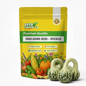 Swan Gourd Seeds – Speckled
