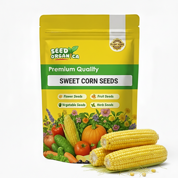 Sweet Corn Seeds