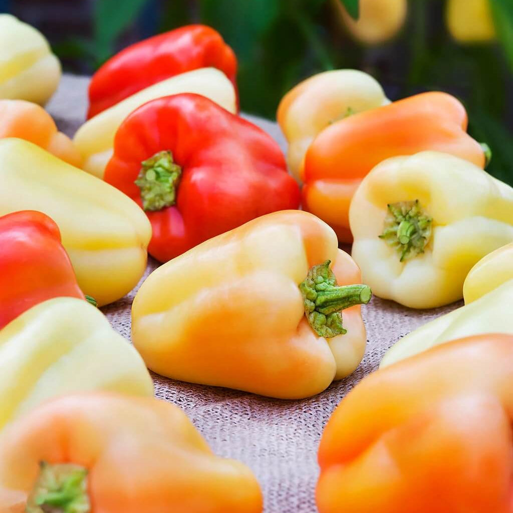 Sweet Gypsy Pepper Seeds