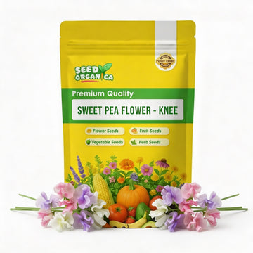 Sweet Pea Flower - Knee