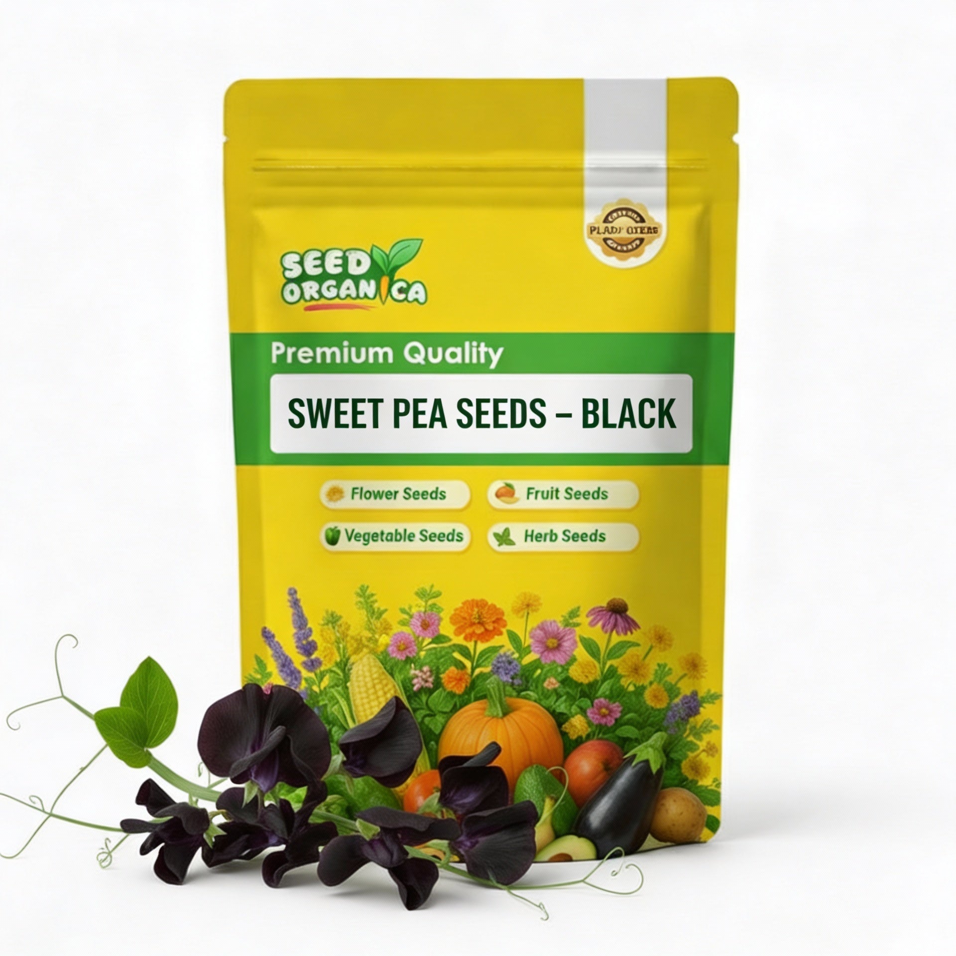 Sweet Pea Seeds – Black