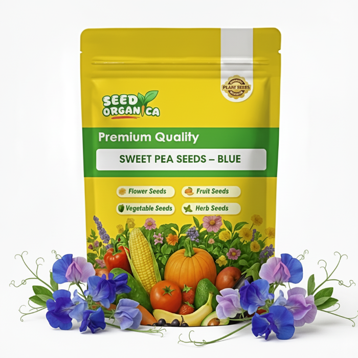 Sweet Pea Seeds – Blue