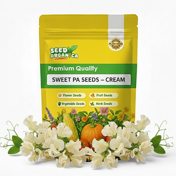Sweet Pea Seeds – Cream