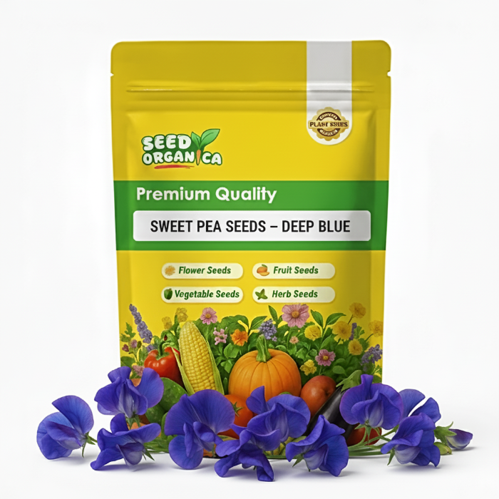 Sweet Pea Seeds – Deep Blue