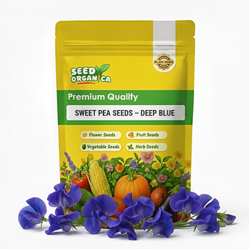 Sweet Pea Seeds – Deep Blue
