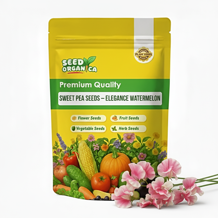 Sweet Pea Seeds – Elegance Watermelon