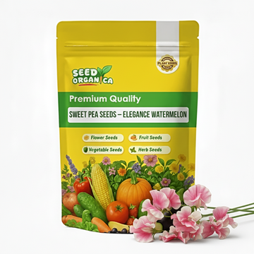 Sweet Pea Seeds – Elegance Watermelon