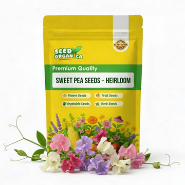 Sweet Pea Seeds – Heirloom
