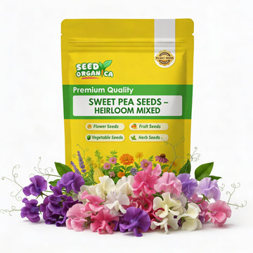 Sweet Pea Seeds – Heirloom Mixed