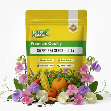 Sweet Pea Seeds – Jilly