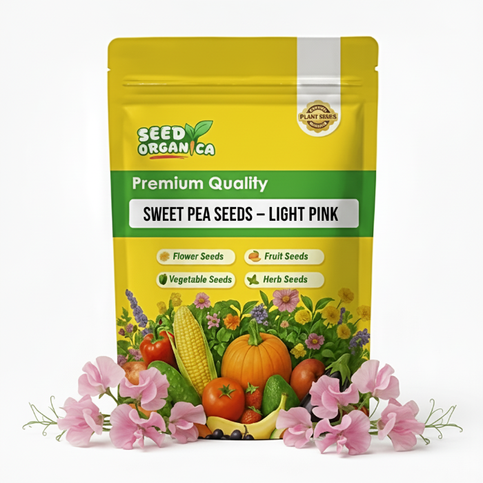 Sweet Pea Seeds – Light Pink