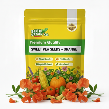 Sweet Pea Seeds – Orange