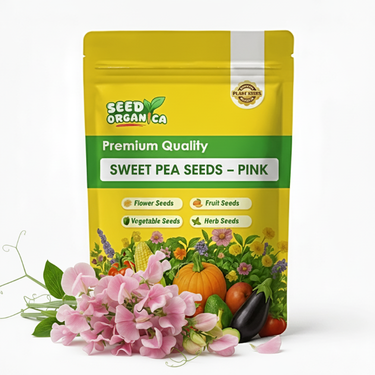 Sweet Pea Seeds – Pink