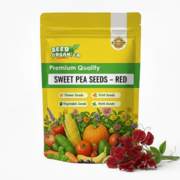 Sweet Pea Seeds – Red